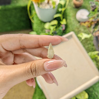 7.76 Ct. Yellow Sapphire Crystal from Ceylon (Sri Lanka) Life Style