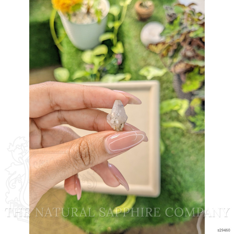 10.96 Ct. Grey Rough Sapphire from Ceylon (Sri Lanka)