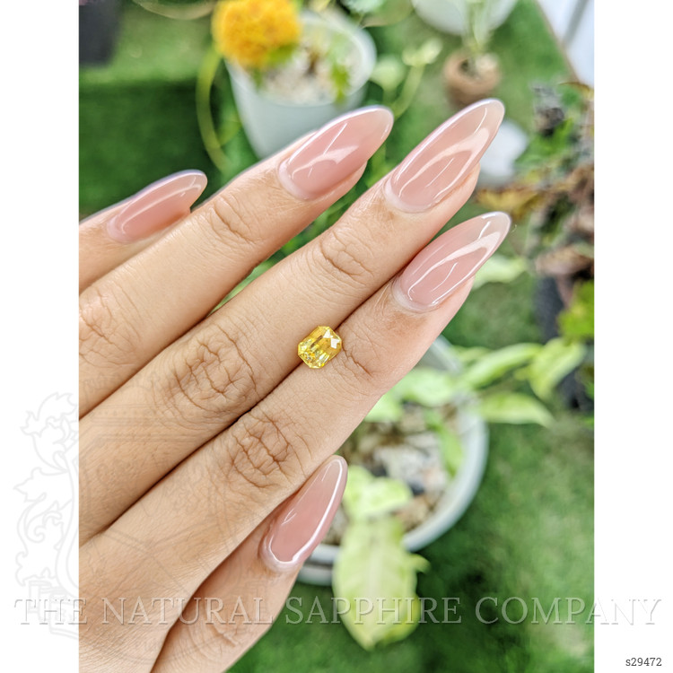 1.26 Ct. Yellow Sapphire from Ceylon (Sri Lanka)