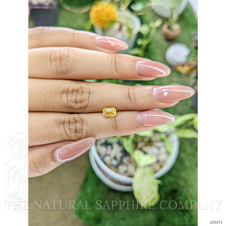 1.26 Ct. Yellow Sapphire from Ceylon (Sri Lanka)