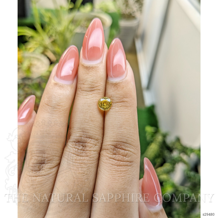 1.06 Ct. Yellow Sapphire from Ceylon (Sri Lanka)