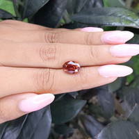 3.59 Ct. Brown Sapphire from Madagascar Life Style