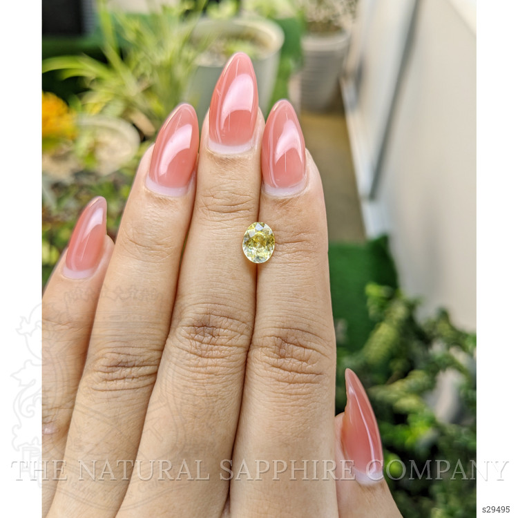 1.52 Ct. Yellow Sapphire from Ceylon (Sri Lanka)