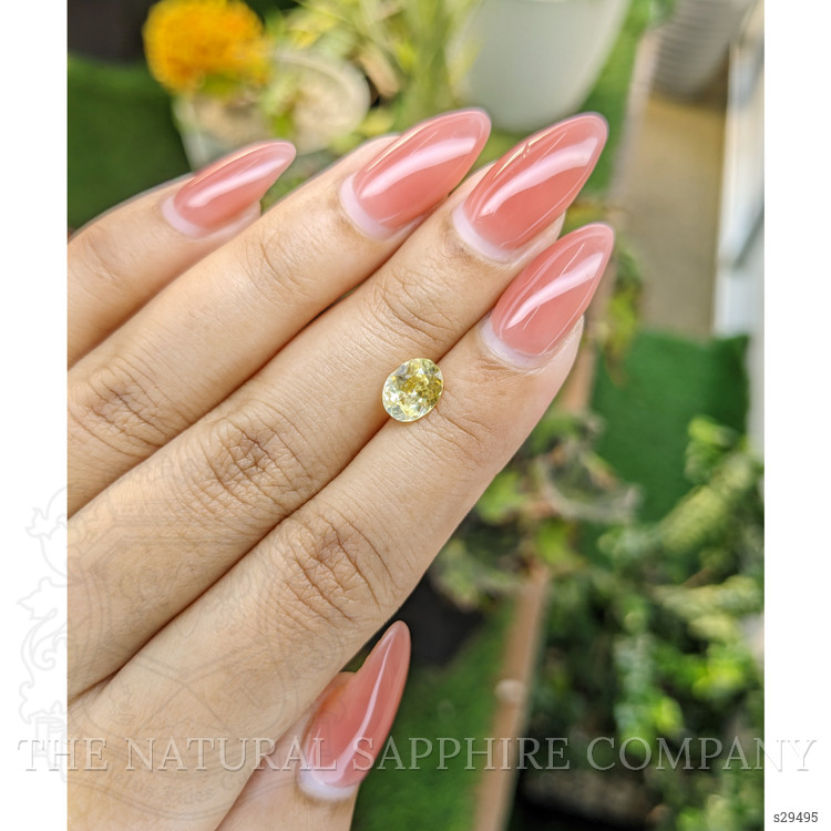 1.52 Ct. Yellow Sapphire from Ceylon (Sri Lanka)