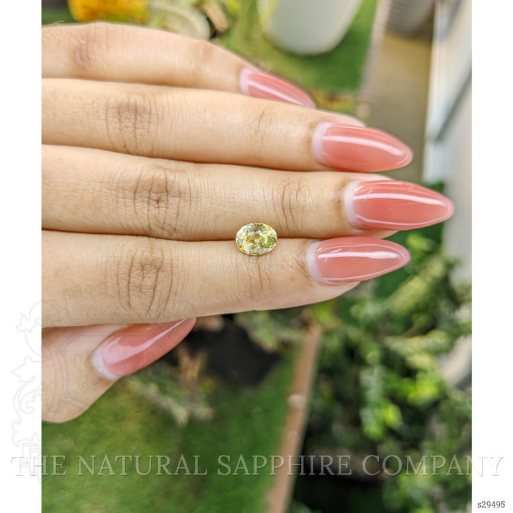 1.52 Ct. Yellow Sapphire from Ceylon (Sri Lanka)