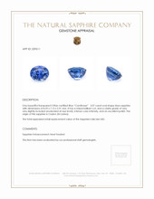 3.07 Ct. Blue Sapphire from Ceylon (Sri Lanka) Appraisal