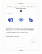 3.06 Ct. Blue Sapphire from Ceylon (Sri Lanka) Appraisal