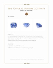 3.06 Ct. Blue Sapphire from Ceylon (Sri Lanka) Appraisal
