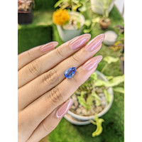 4.27 Ct. Blue Sapphire from Ceylon (Sri Lanka) Life Style