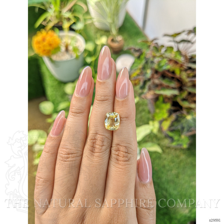 5.07 Ct. Yellow Sapphire from Ceylon (Sri Lanka)