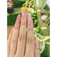 1.37 Ct. Yellow Sapphire from Ceylon (Sri Lanka) Life Style