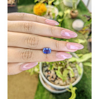 2.55 Ct. Blue Sapphire from Ceylon (Sri Lanka) Life Style