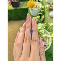 1.42 Ct. Blue Sapphire from Ceylon (Sri Lanka) Life Style