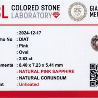 Jewelry Scan Report