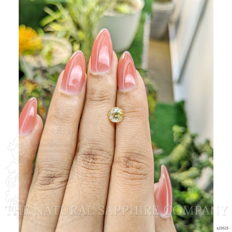 1.37 Ct. Yellow Sapphire from Ceylon (Sri Lanka)