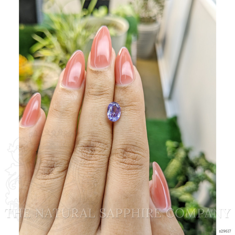 2.17 Ct. Purple Sapphire from Ceylon (Sri Lanka)