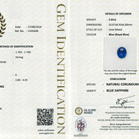 5.02 Ct. Blue Sapphire from Ceylon (Sri Lanka) Scan Report