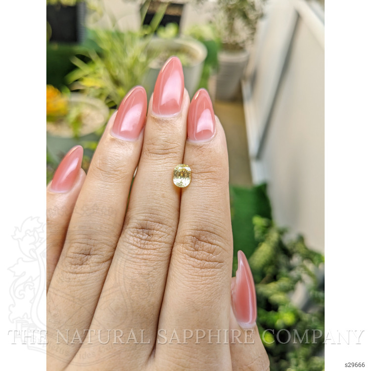 1.31 Ct. Yellow Sapphire from Ceylon (Sri Lanka)