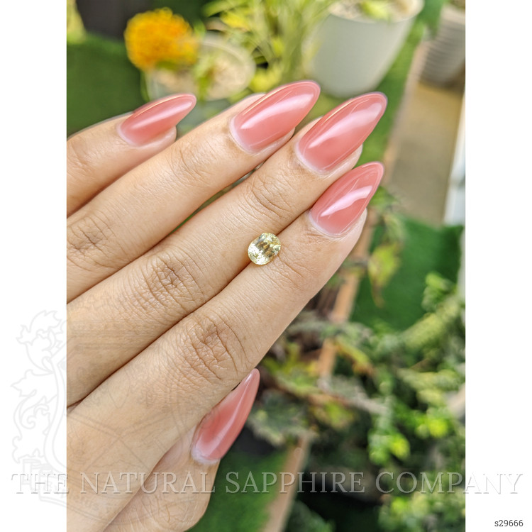 1.31 Ct. Yellow Sapphire from Ceylon (Sri Lanka)