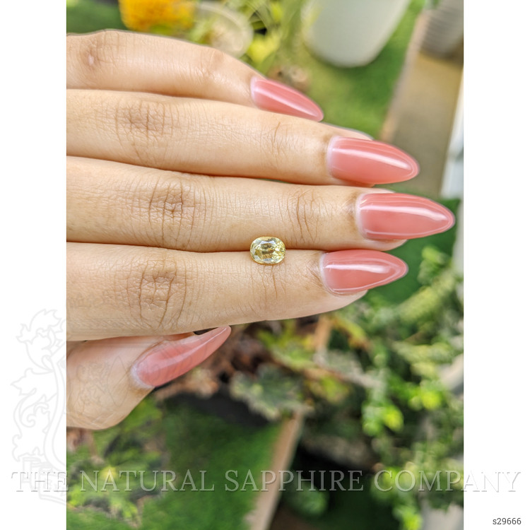 1.31 Ct. Yellow Sapphire from Ceylon (Sri Lanka)