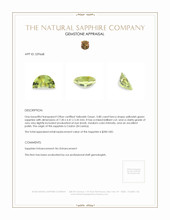 0.80 Ct. Yellowish Green Sapphire from Ceylon (Sri Lanka) Appraisal