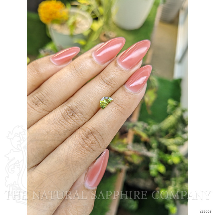 0.80 Ct. Yellowish Green Sapphire from Ceylon (Sri Lanka)