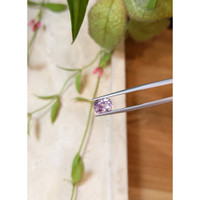 2.06 Ct. Pink Sapphire from Ceylon (Sri Lanka) Life Style