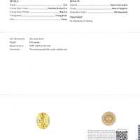 Jewelry Scan Report