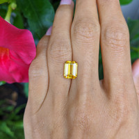 4.03 Ct. Yellow Sapphire from Ceylon (Sri Lanka) Life Style