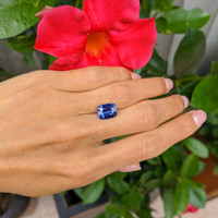 5.16 Ct. Bluish Purple Sapphire from Ceylon (Sri Lanka) Life Style