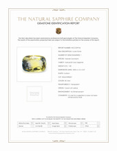 Jewelry Scan Report