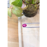 3.00 Ct. Pink Sapphire from Ceylon (Sri Lanka) Life Style