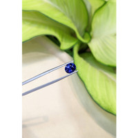 3.50 Ct. Blue Sapphire from Ceylon (Sri Lanka) Life Style