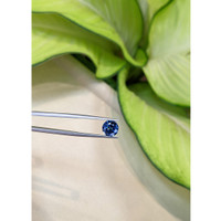 2.56 Ct. Blue Sapphire from Ceylon (Sri Lanka) Life Style