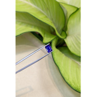 2.42 Ct. Blue Sapphire from Ceylon (Sri Lanka) Life Style