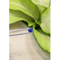 2.67 Ct. Blue Sapphire from Ceylon (Sri Lanka) Life Style