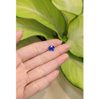 2.67 Ct. Blue Sapphire from Ceylon (Sri Lanka) Life Style