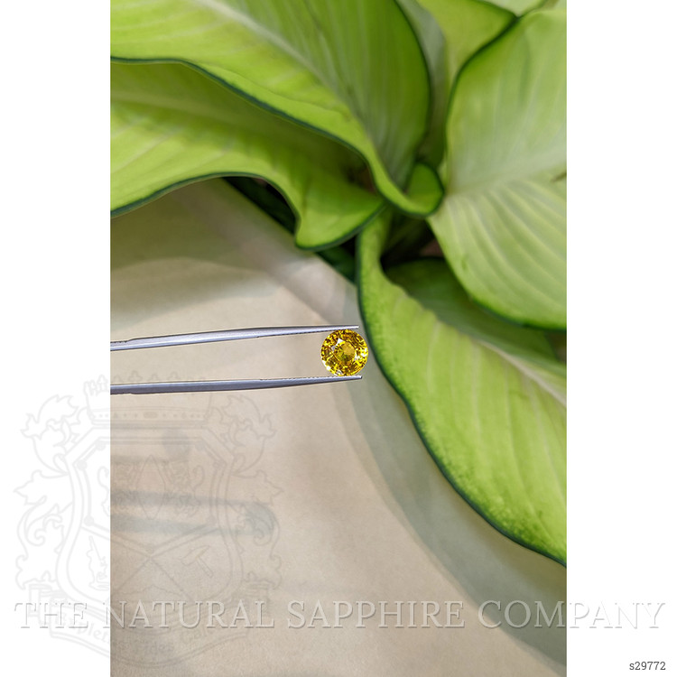 3.97 Ct. Yellow Sapphire from Ceylon (Sri Lanka)