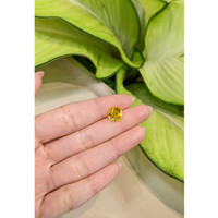 3.97 Ct. Yellow Sapphire from Ceylon (Sri Lanka) Life Style