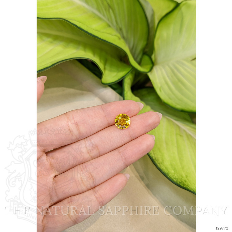 3.97 Ct. Yellow Sapphire from Ceylon (Sri Lanka)
