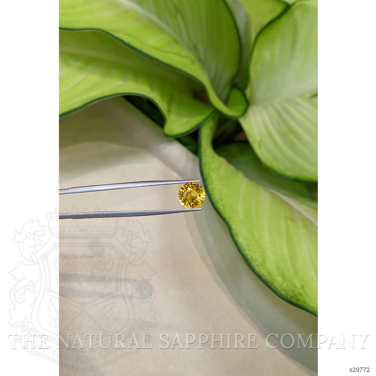 3.97 Ct. Yellow Sapphire from Ceylon (Sri Lanka)