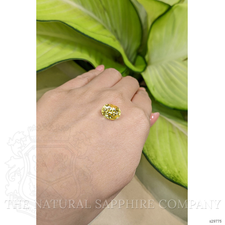 5.23 Ct. Yellow Sapphire from Ceylon (Sri Lanka)