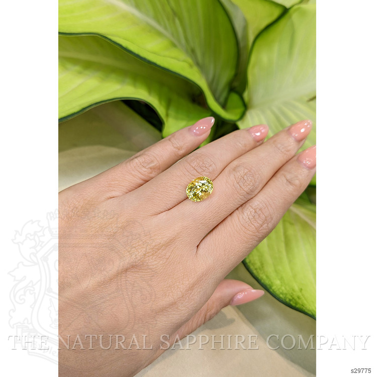5.23 Ct. Yellow Sapphire from Ceylon (Sri Lanka)