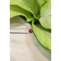 3.34 Ct. Reddish Orange Sapphire from Ceylon (Sri Lanka) Life Style