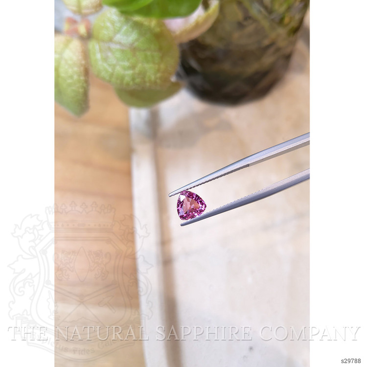 1.51 Ct. Pink Sapphire from Ceylon (Sri Lanka)