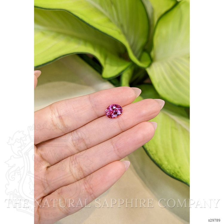 2.85 Ct. Pink Sapphire from Ceylon (Sri Lanka)