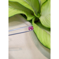 2.85 Ct. Pink Sapphire from Ceylon (Sri Lanka) Life Style