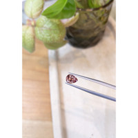 1.69 Ct. Padparadscha Sapphire from Ceylon (Sri Lanka) Life Style