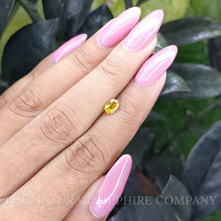 0.60 Ct. Yellow Sapphire from Madagascar