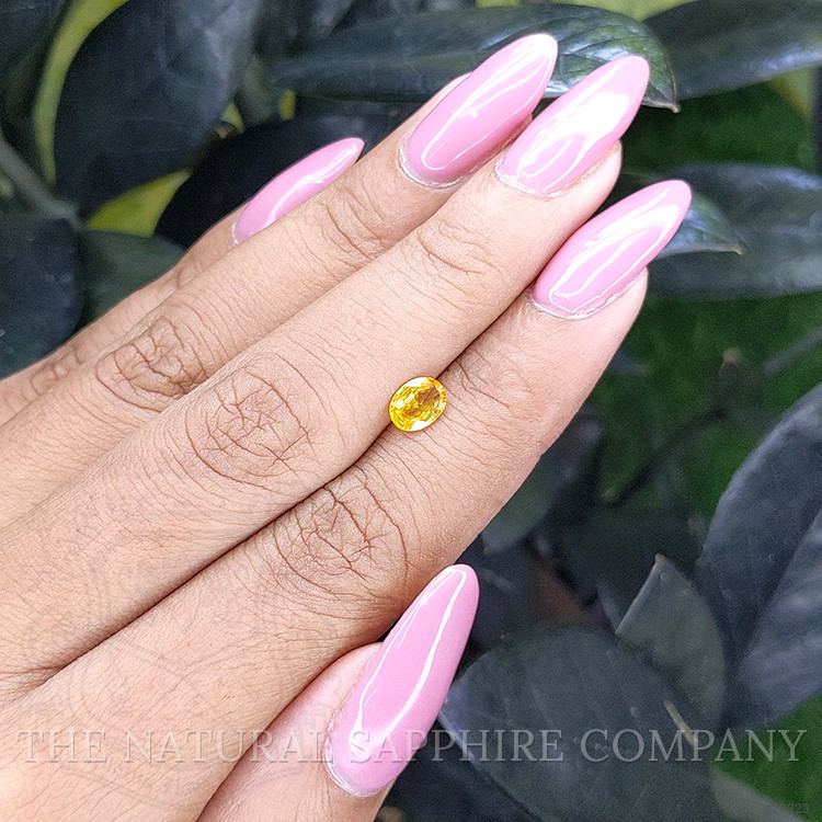 0.66 Ct. Yellow Sapphire from Madagascar